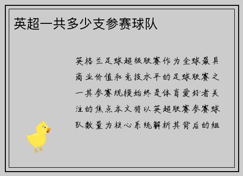 英超一共多少支参赛球队